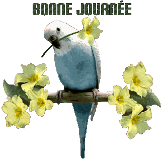 bonne journée  